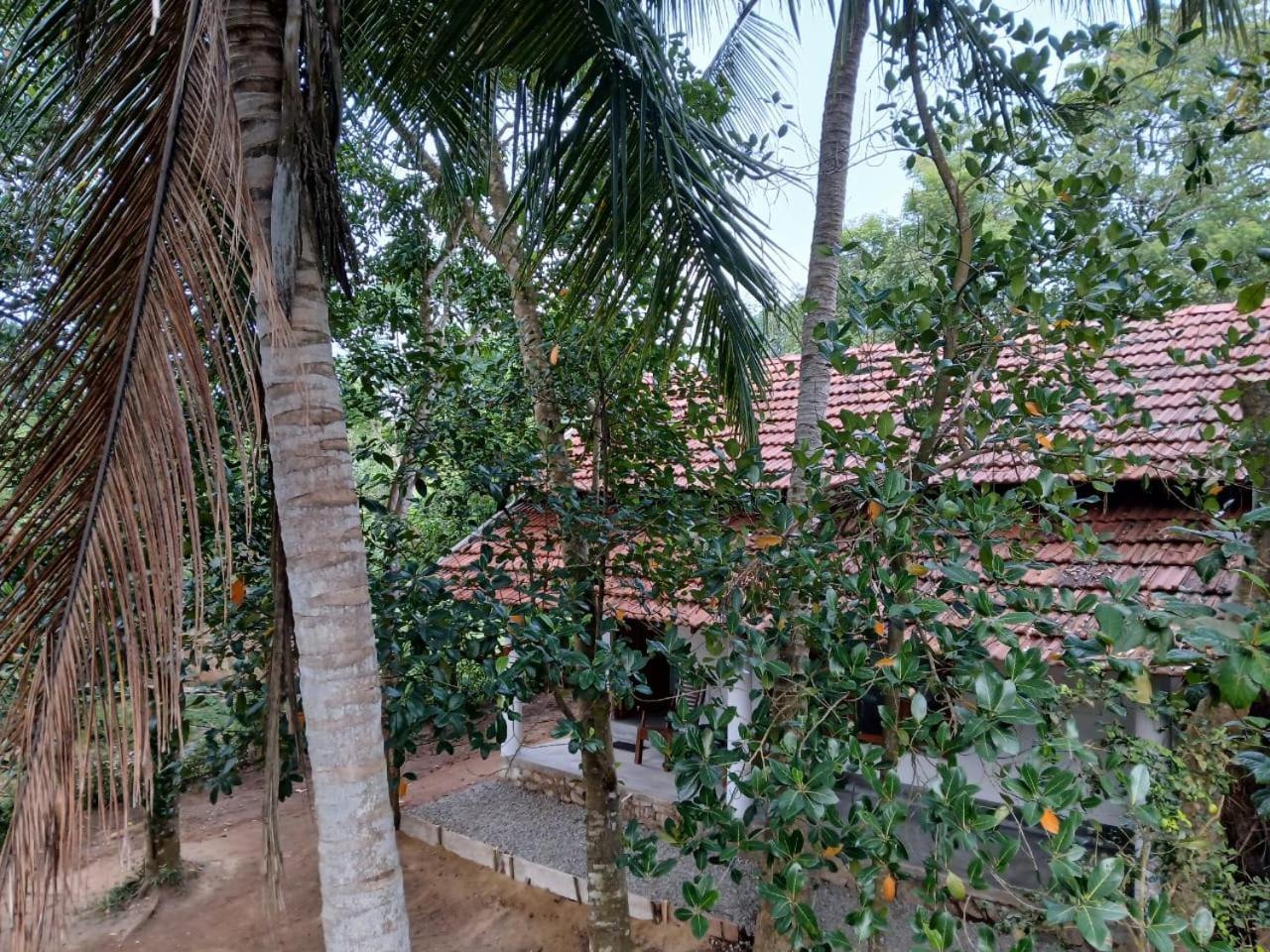 Hotel Lagoon Birds - Tangalle Extérieur photo